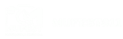 Multimedia Festival #11
